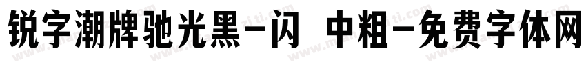 锐字潮牌驰光黑-闪 中粗字体转换